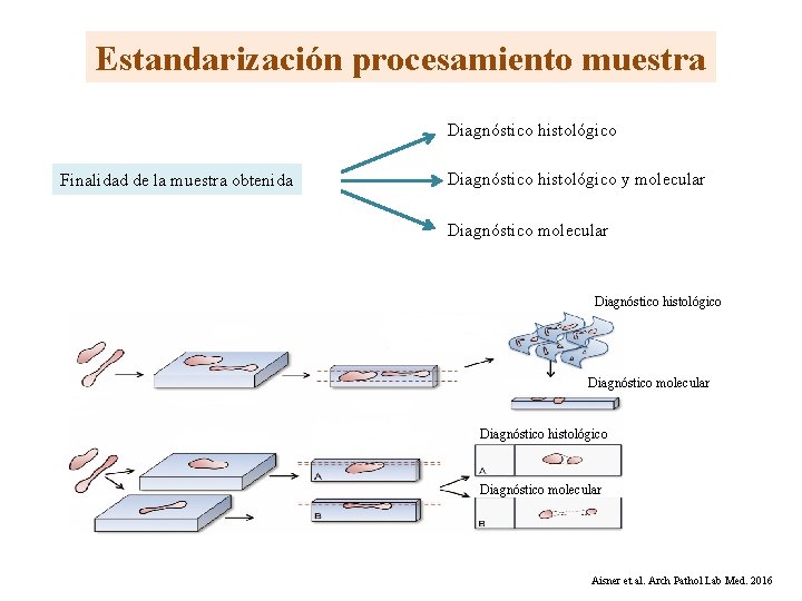 Estandarización procesamiento muestra Diagnóstico histológico Finalidad de la muestra obtenida Diagnóstico histológico y molecular