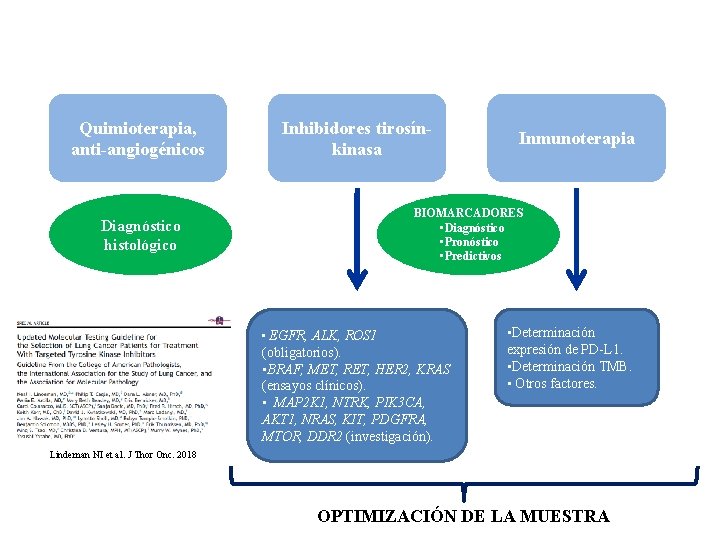 Quimioterapia, anti-angiogénicos Inhibidores tirosínkinasa Inmunoterapia BIOMARCADORES • Diagnóstico • Pronóstico • Predictivos Diagnóstico histológico