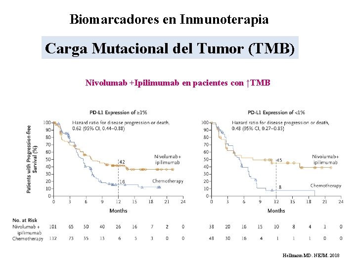 Biomarcadores en Inmunoterapia Carga Mutacional del Tumor (TMB) Nivolumab +Ipilimumab en pacientes con ↑TMB