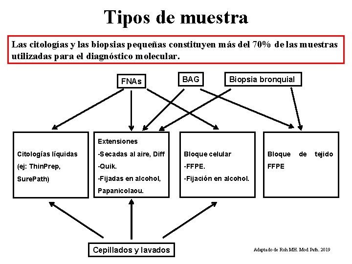 Tipos de muestra Las citologías y las biopsias pequeñas constituyen más del 70% de