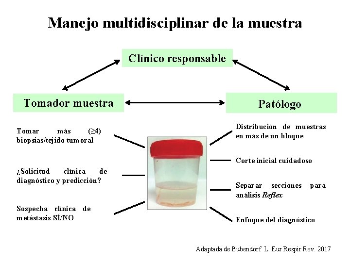 Manejo multidisciplinar de la muestra Clínico responsable Tomador muestra Tomar más (≥ 4) biopsias/tejido