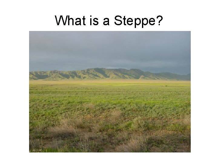 What is a Steppe? 