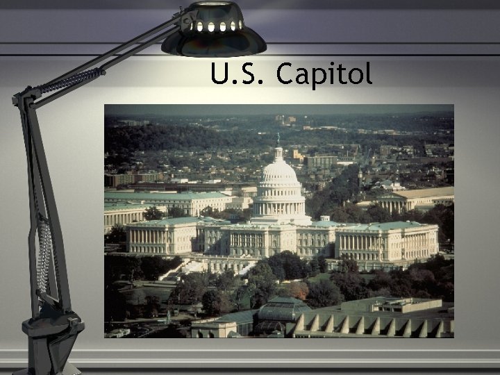 U. S. Capitol 