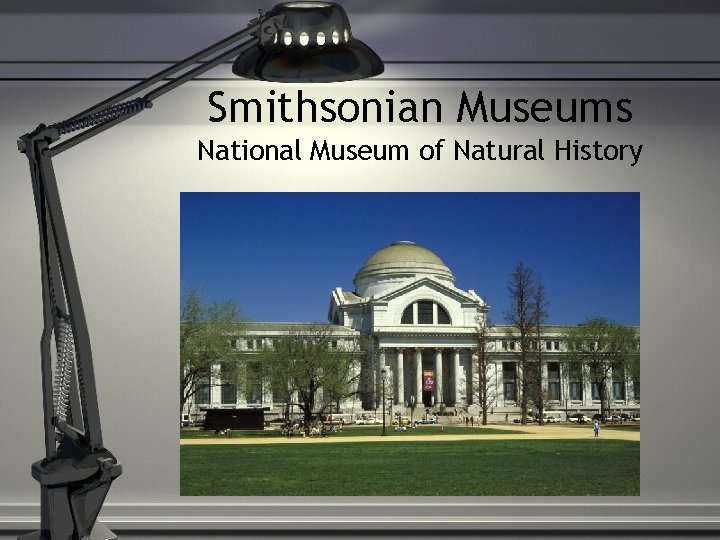 Smithsonian Museums National Museum of Natural History 