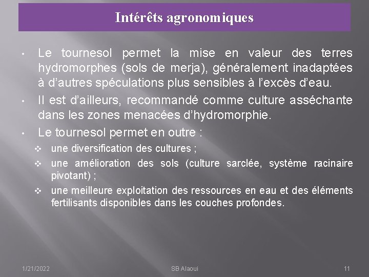 Intérêts agronomiques • • • Le tournesol permet la mise en valeur des terres