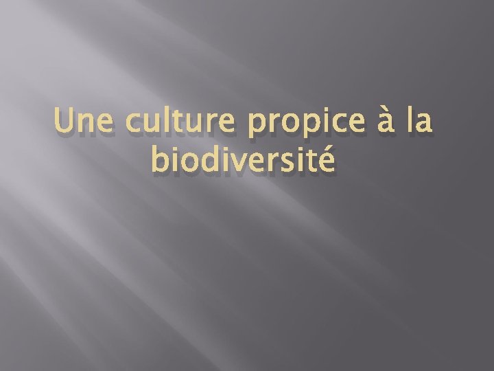 Une culture propice à la biodiversité 