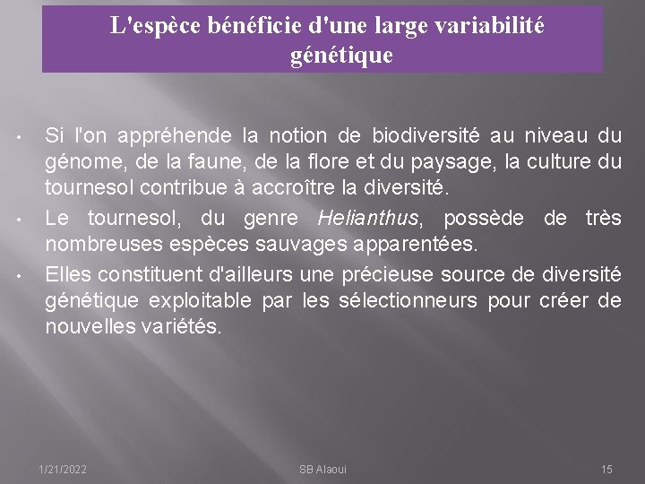 L'espèce bénéficie d'une large variabilité génétique • • • Si l'on appréhende la notion