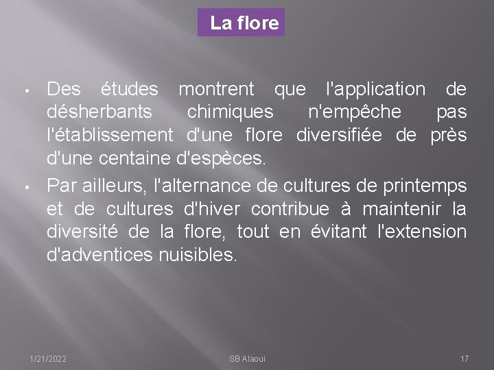 La flore • • Des études montrent que l'application de désherbants chimiques n'empêche pas
