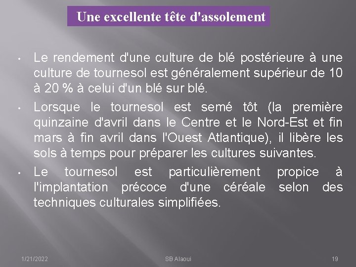 Une excellente tête d'assolement • • • Le rendement d'une culture de blé postérieure