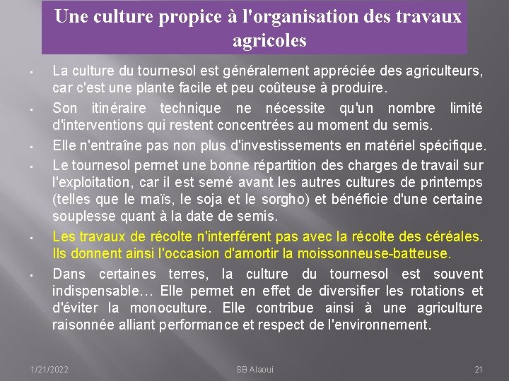 Une culture propice à l'organisation des travaux agricoles • • • La culture du