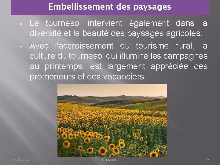 Embellissement des paysages • • 1/21/2022 Le tournesol intervient également dans la diversité et