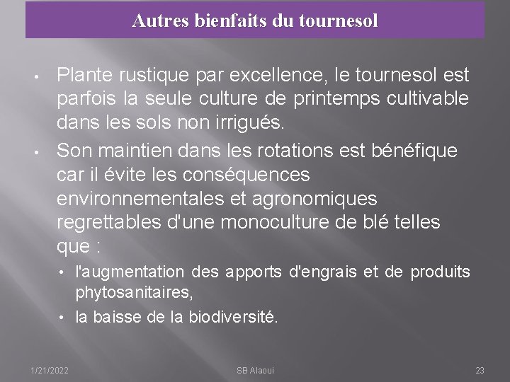 Autres bienfaits du tournesol • • Plante rustique par excellence, le tournesol est parfois