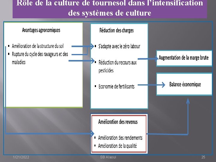 Rôle de la culture de tournesol dans l’intensification des systèmes de culture 1/21/2022 SB