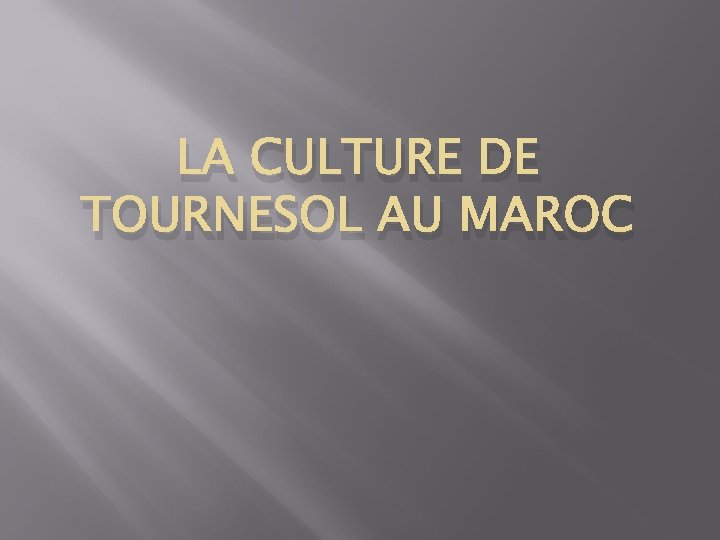 LA CULTURE DE TOURNESOL AU MAROC 