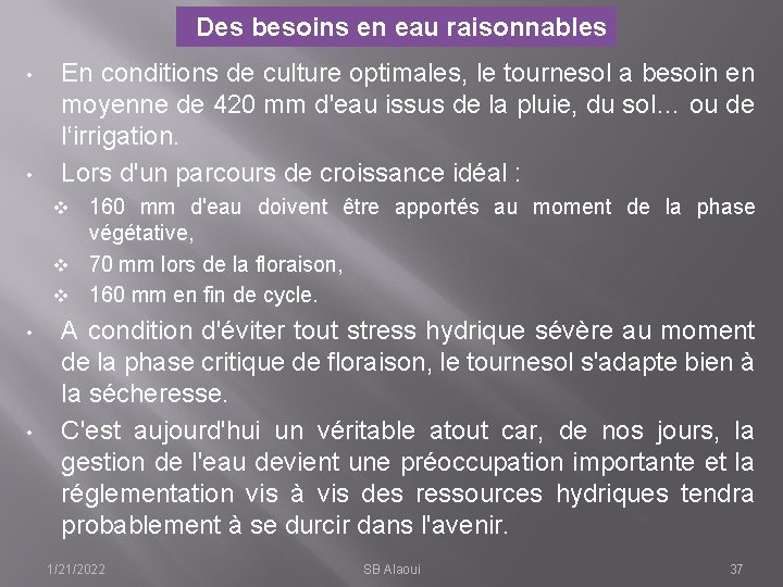 Des besoins en eau raisonnables • • En conditions de culture optimales, le tournesol