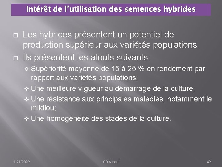 Intérêt de l’utilisation des semences hybrides Les hybrides présentent un potentiel de production supérieur