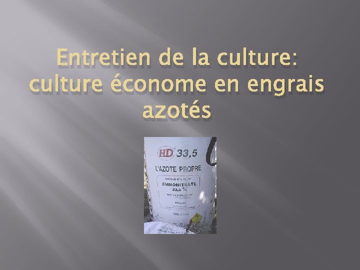 Entretien de la culture: culture économe en engrais azotés 