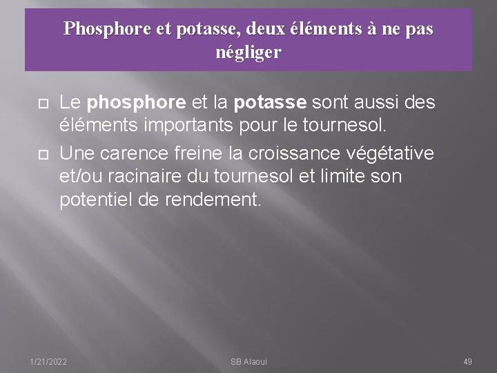 Phosphore et potasse, deux éléments à ne pas négliger Le phosphore et la potasse
