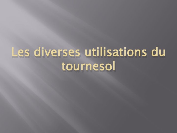 Les diverses utilisations du tournesol 