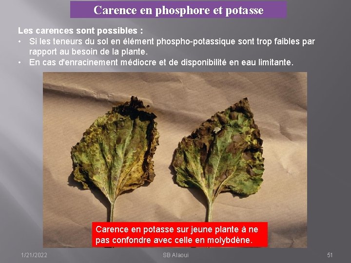 Carence en phosphore et potasse Les carences sont possibles : • Si les teneurs
