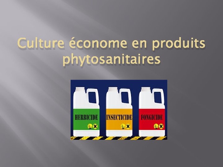 Culture économe en produits phytosanitaires 