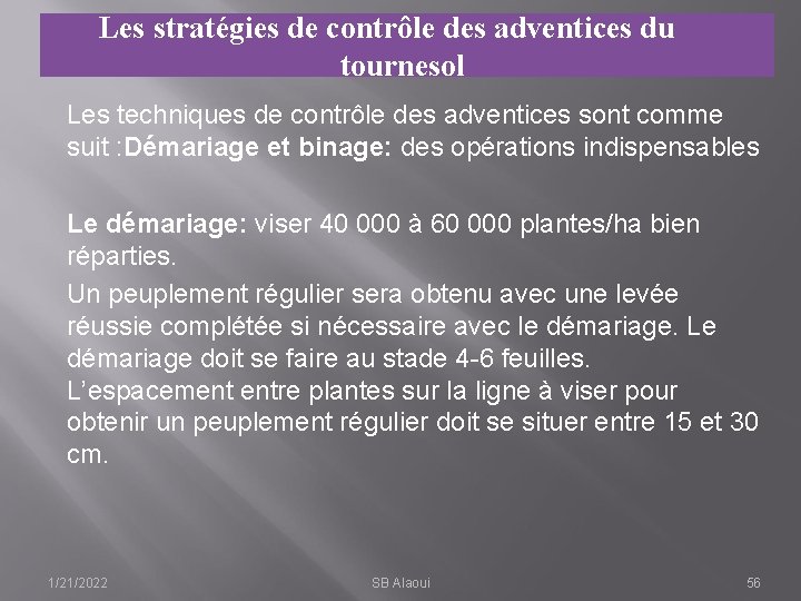 Les stratégies de contrôle des adventices du tournesol Les techniques de contrôle des adventices