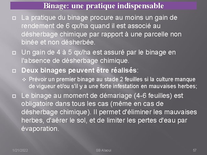 Binage: une pratique indispensable La pratique du binage procure au moins un gain de