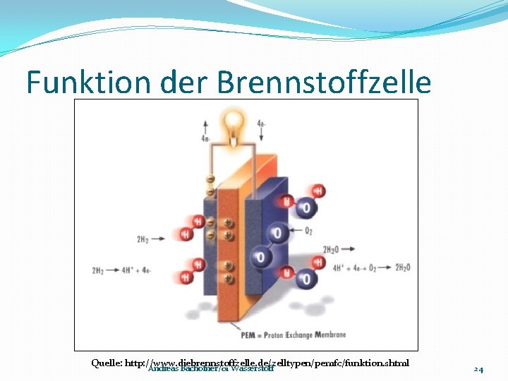Funktion der Brennstoffzelle Quelle: http: //www. diebrennstoffzelle. de/zelltypen/pemfc/funktion. shtml Andreas Bachofner/01 Wasserstoff 24 