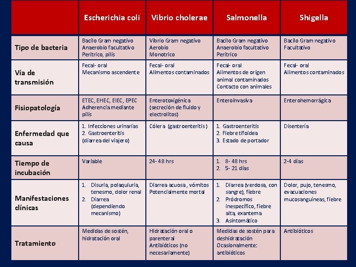 Escherichia coli Tipo de bacteria Vía de transmisión Fisiopatología Enfermedad que causa Tiempo de