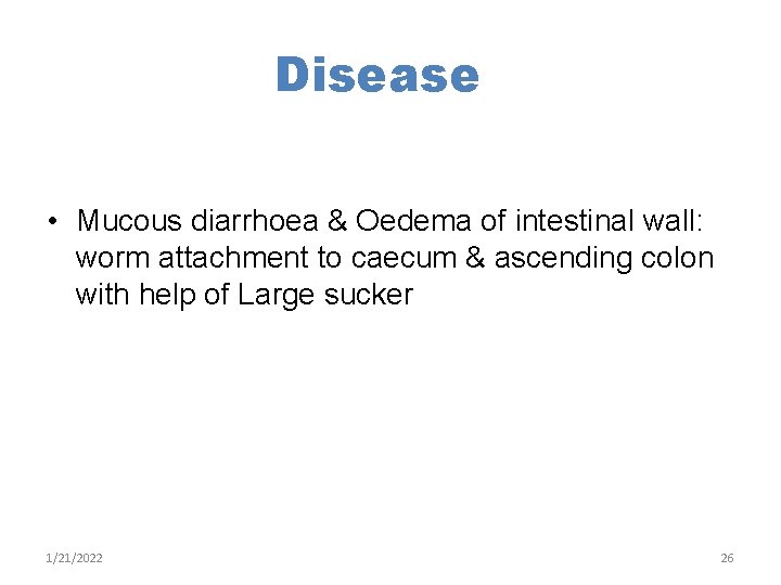 Disease • Mucous diarrhoea & Oedema of intestinal wall: worm attachment to caecum &