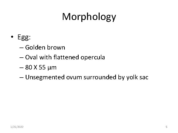 Morphology • Egg: – Golden brown – Oval with flattened opercula – 80 X