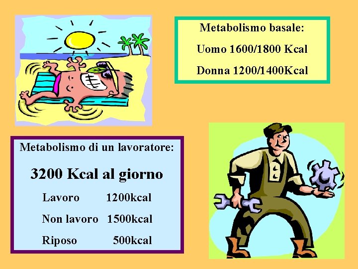 Metabolismo basale: Uomo 1600/1800 Kcal Donna 1200/1400 Kcal Metabolismo di un lavoratore: 3200 Kcal