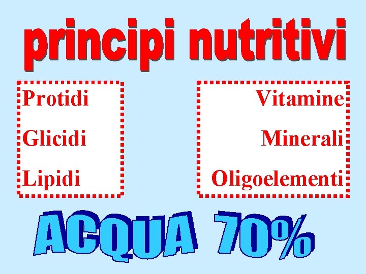 Protidi Vitamine Glicidi Minerali Lipidi Oligoelementi 