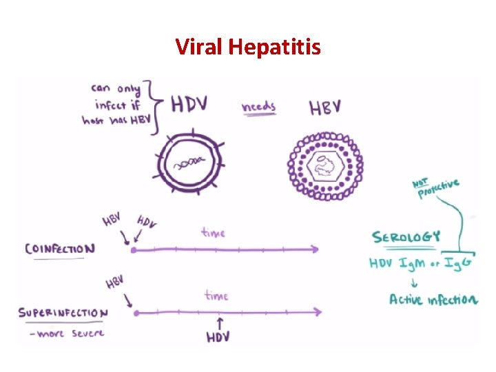 Viral Hepatitis 