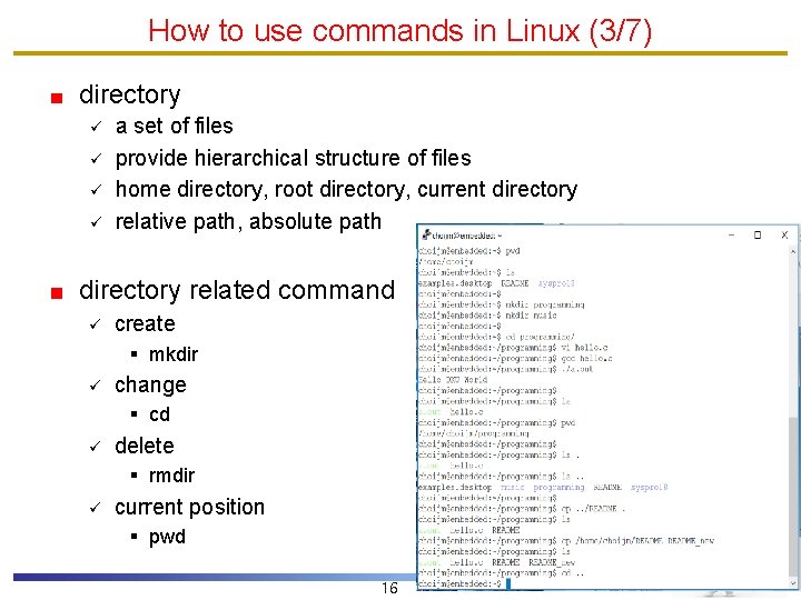 How to use commands in Linux (3/7) directory ü ü a set of files