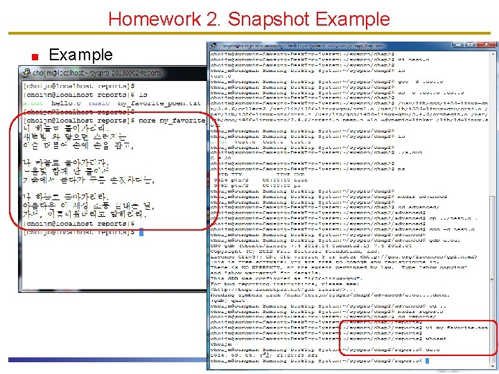 Homework 2. Snapshot Example 28 