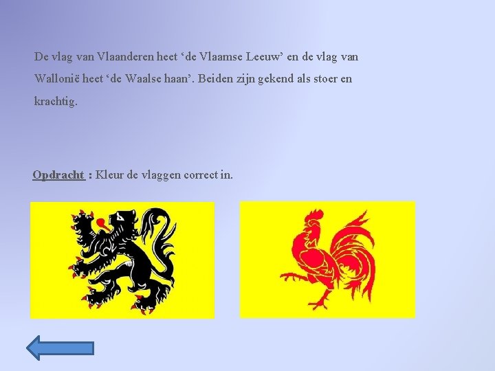 De vlag van Vlaanderen heet ‘de Vlaamse Leeuw’ en de vlag van Wallonië heet