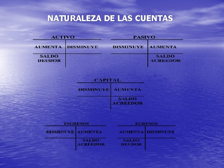 NATURALEZA DE LAS CUENTAS 