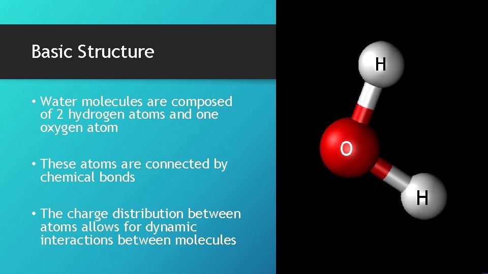 Basic Structure H • Water molecules are composed of 2 hydrogen atoms and one