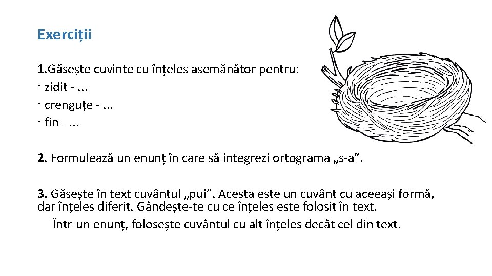 Exerciții 1. Găsește cuvinte cu înțeles asemănător pentru: zidit -. . . crenguțe -.