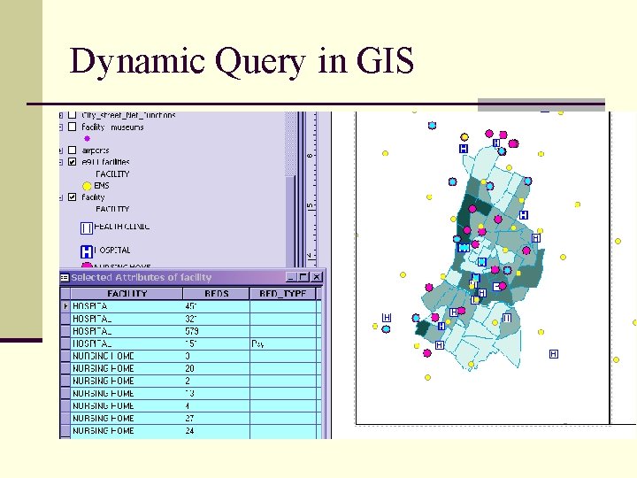 Dynamic Query in GIS 