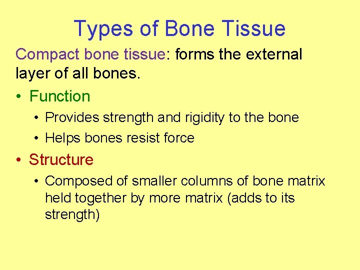 Types of Bone Tissue Compact bone tissue: forms the external layer of all bones.