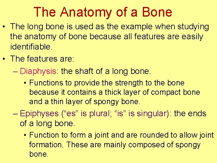 The Anatomy of a Bone • The long bone is used as the example