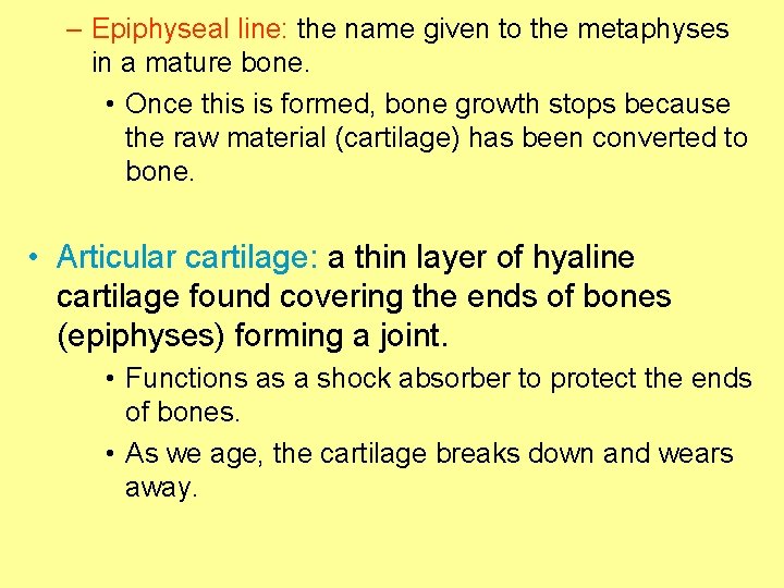 – Epiphyseal line: the name given to the metaphyses in a mature bone. •