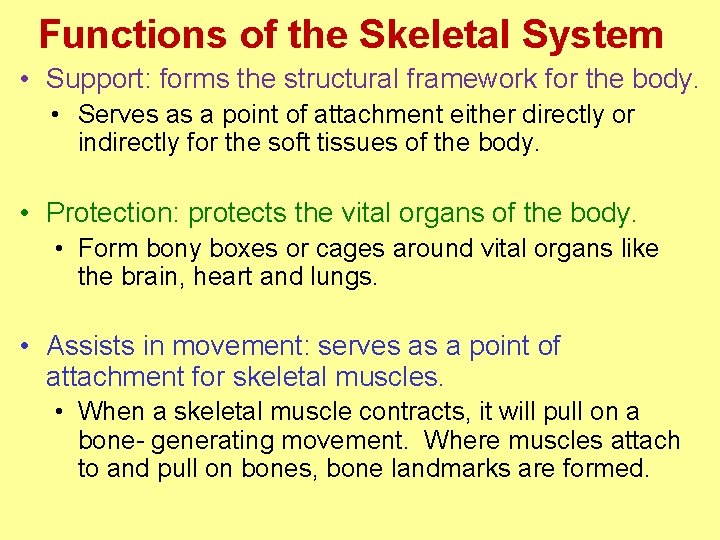 Functions of the Skeletal System • Support: forms the structural framework for the body.