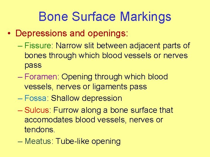 Bone Surface Markings • Depressions and openings: – Fissure: Narrow slit between adjacent parts