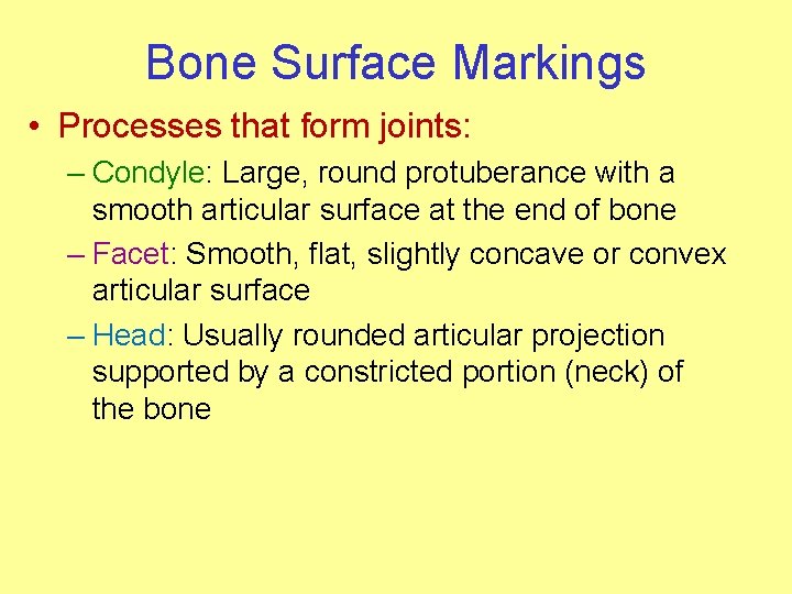 Bone Surface Markings • Processes that form joints: – Condyle: Large, round protuberance with