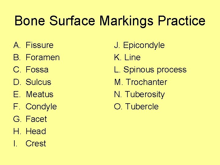 Bone Surface Markings Practice A. B. C. D. E. F. G. H. I. Fissure