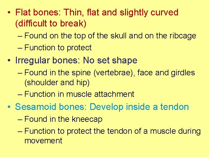  • Flat bones: Thin, flat and slightly curved (difficult to break) – Found