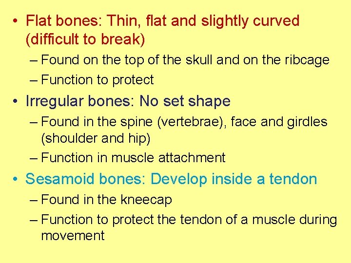  • Flat bones: Thin, flat and slightly curved (difficult to break) – Found
